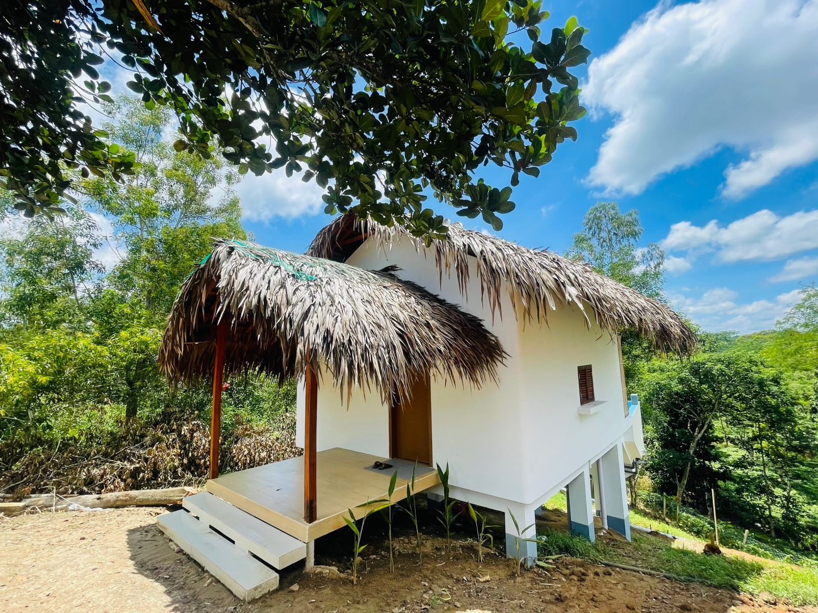 Superior Pool Villa - Cottage